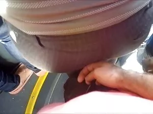 Rosa, gadis Selatan  ...